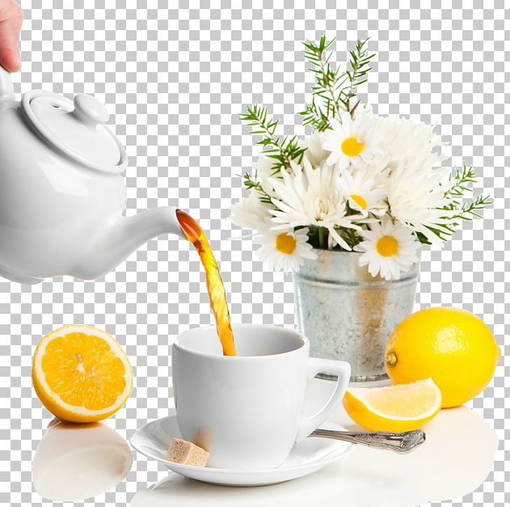 Green Tea White Tea Teapot Teacup PNG, Clipart, Ceramic, Coffee Cup, Cup, Drink, Drinkware Free PNG Download