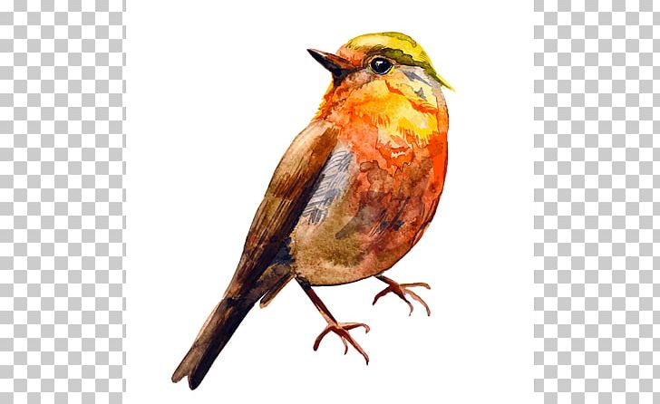 Bird European Robin Watercolor Painting Drawing PNG, Clipart, Animals, Beak, Bird, Decorative Arts, Digital Painting Free PNG Download