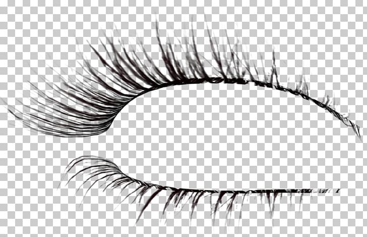 Eyelash Extensions Brush Drawing PNG, Clipart, Artwork, Beauty, Black And White, Brush, Cosmetics Free PNG Download