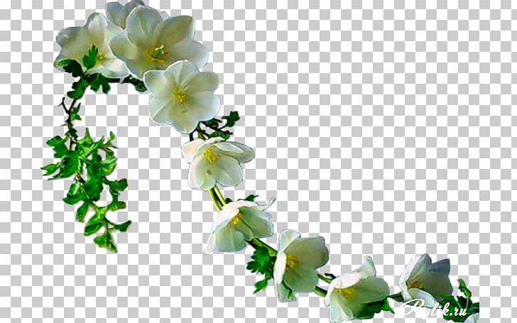 Flower Ppt PNG, Clipart, Branch, Cut Flowers, Digital Image, Floral Design, Flower Free PNG Download