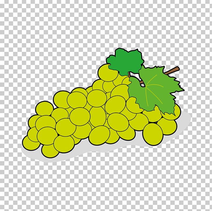 Grape Fruit Vegetable Ma Cocotte Garlic PNG, Clipart, Computer Icons, Flowering Plant, Food, Fruit, Fruit Nut Free PNG Download
