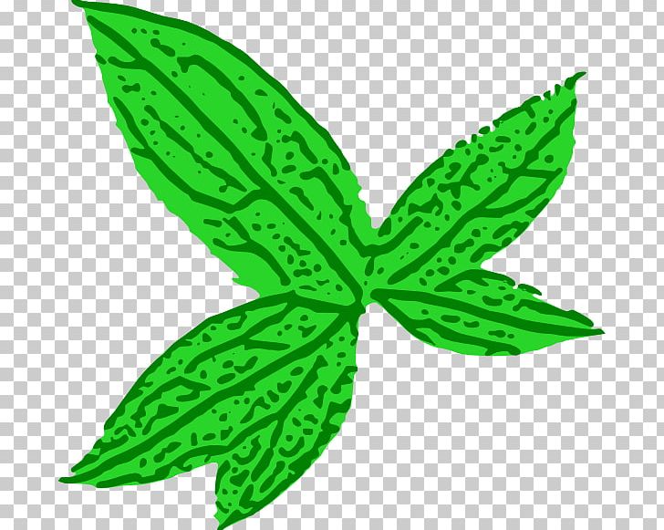 Leaf Green Computer Icons PNG, Clipart, Computer Icons, Download, Drawing, Flowering Plant, Free Content Free PNG Download