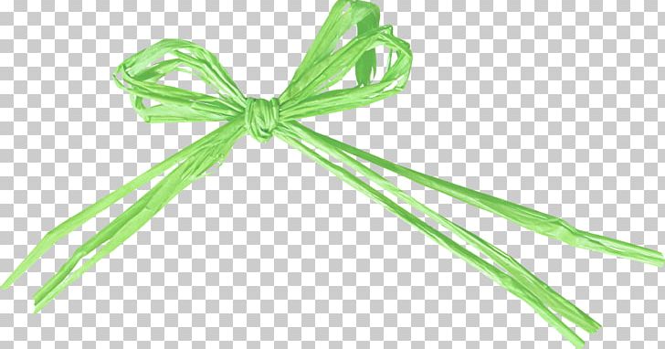Rope Paper Rafia Raffia Palm PNG, Clipart, Bow, Buckle, Cartoon Rope, Crochet, Decoration Free PNG Download