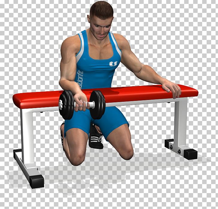 Wrist Curl Forearm Dumbbell Biceps Curl Bench PNG, Clipart,  Free PNG Download