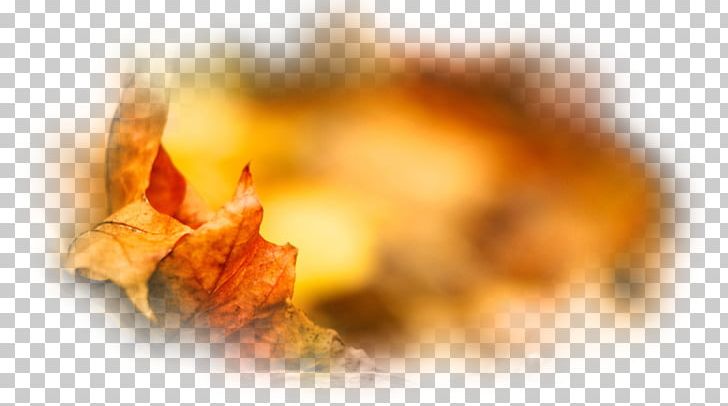 Autumn Desktop Painting Leaf PNG, Clipart, Autumn, Closeup, Computer, Computer Wallpaper, Desktop Wallpaper Free PNG Download