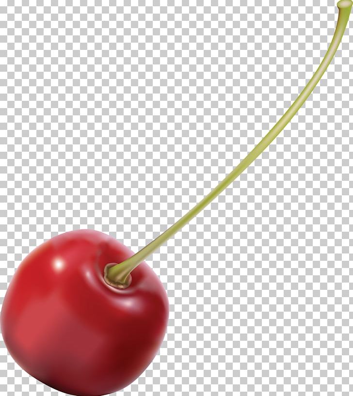 Cherry PNG, Clipart, Cherry Free PNG Download