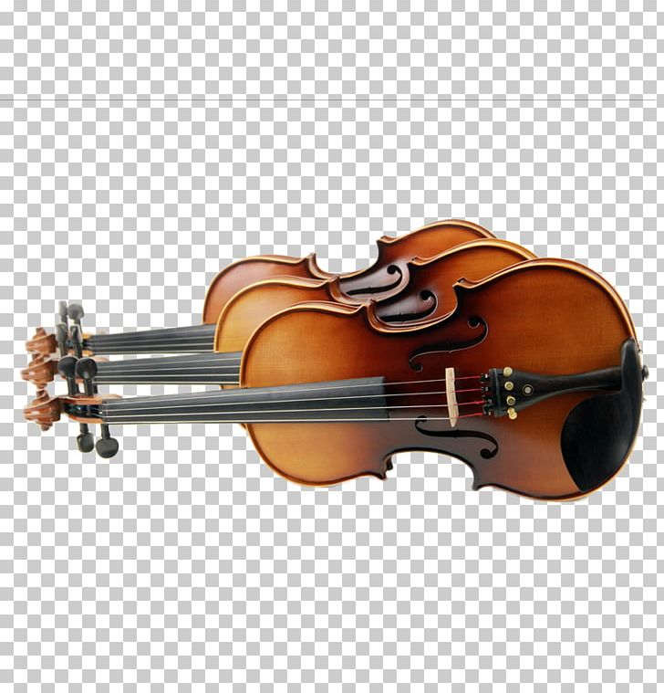 Bass Violin Viola PNG, Clipart, 3d Three Dimensional Flower, Bass Violin, Bowed String Instrument, Cellist, Lute Free PNG Download