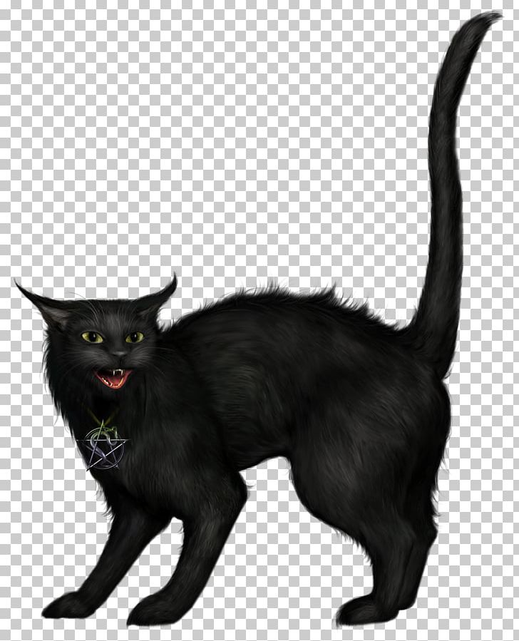 Black Cat Halloween PNG, Clipart, Black, Black Cat, Bombay, Carnivoran, Cartoon Free PNG Download