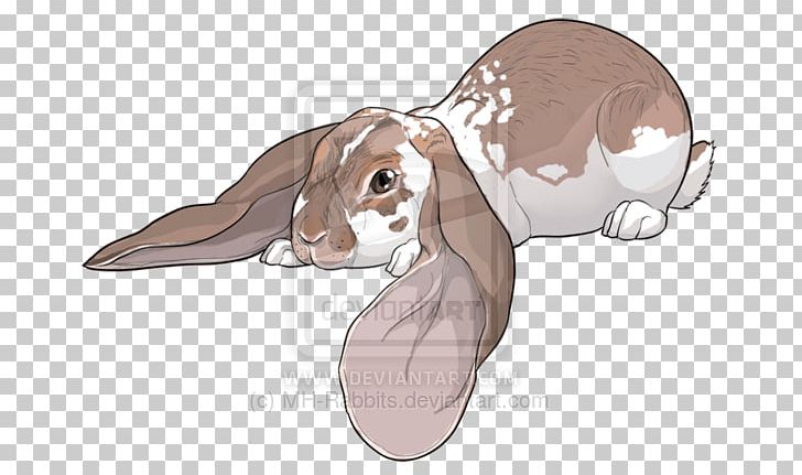 Hare Reptile Ear Illustration Mammal PNG, Clipart,  Free PNG Download