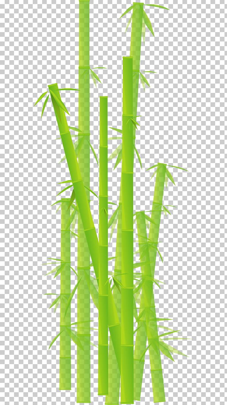 Bamboo PNG, Clipart, Bamboo, Bamboo Cliparts, Desktop Wallpaper, Download, Drawing Free PNG Download