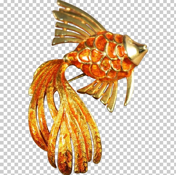 Clothing Accessories Jewellery Decapoda Seafood Organism PNG, Clipart, Amber, Clothing Accessories, Decapoda, Fashion, Fashion Accessory Free PNG Download