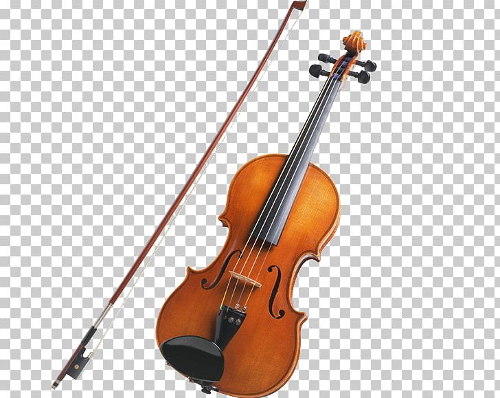 Violin String Instruments Musical Instruments Viola Family PNG, Clipart, Antonio Stradivari, Bass Violin, Bow, Bowed String Instrument, Cellist Free PNG Download