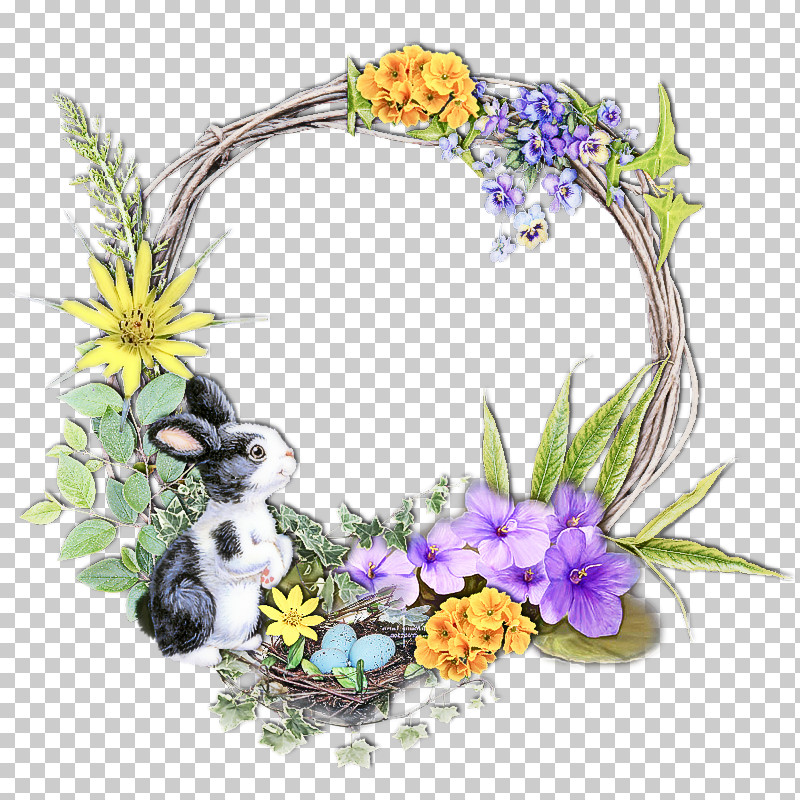 Flower Plant Wildflower Violet Family Viola PNG, Clipart, Crocus, Flower, Forgetmenot, Iris, Plant Free PNG Download