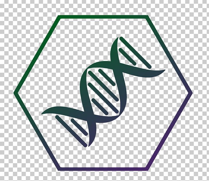 DNA Nucleic Acid Double Helix Gene Molecule PNG, Clipart, Angle, Area, Art, Biology, Brand Free PNG Download
