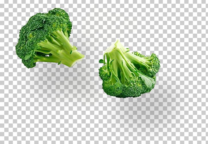 Broccoli Organic Food Soybean Sprout Cruciferous Vegetables PNG, Clipart, Bean Sprout, Broccoli, Brocoli, Brussels Sprout, Cauliflower Free PNG Download