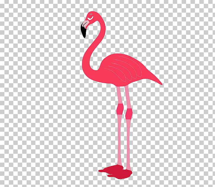 Flamingo Bird Stock Photography PNG, Clipart, Animal, Beak, Beautiful, Bird, Birds Free PNG Download