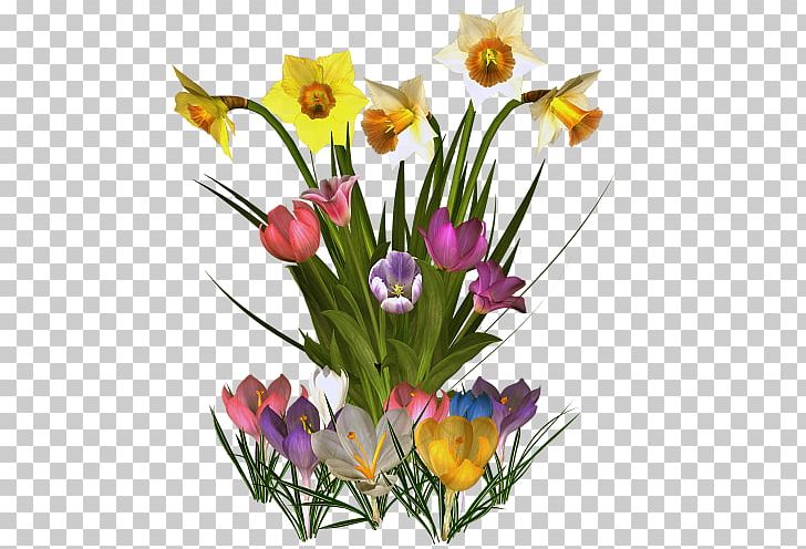 Germany .de Guestbook Online Chat PNG, Clipart, Blog, Crocus, Cut Flowers, Flirting, Floral Design Free PNG Download