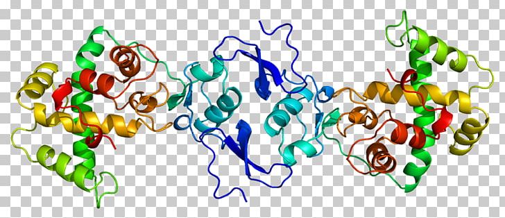 Osteonectin Glycoprotein Bone Collagen PNG, Clipart, Basement Membrane, Bmo, Bone, Bone Mineral, Bone Morphogenetic Protein Free PNG Download