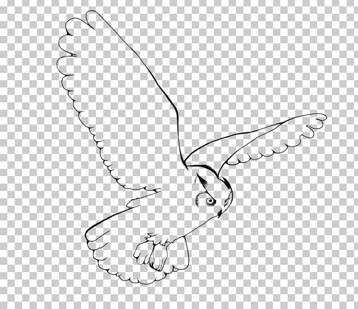 Snowy Owl Bird Drawing PNG, Clipart, Angle, Animals, Area, Arm, Art Free PNG Download