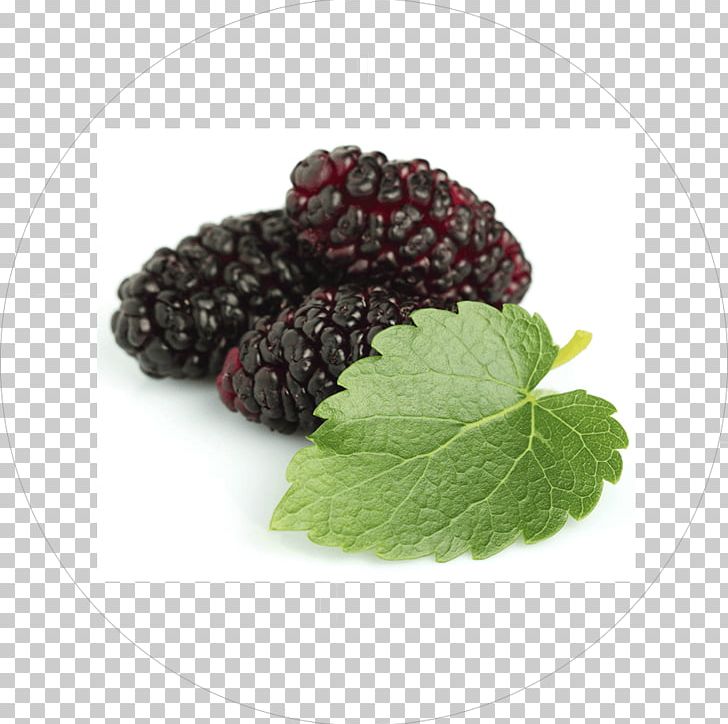 Tea Black Mulberry White Mulberry Extract Herb PNG, Clipart, 1deoxynojirimycin, Berry, Blackberry, Black Mulberry, Boysenberry Free PNG Download