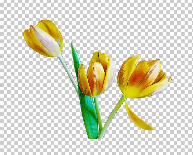 Artificial Flower PNG, Clipart, Artificial Flower, Bud, Cut Flowers, Flower, Flower Bouquet Free PNG Download