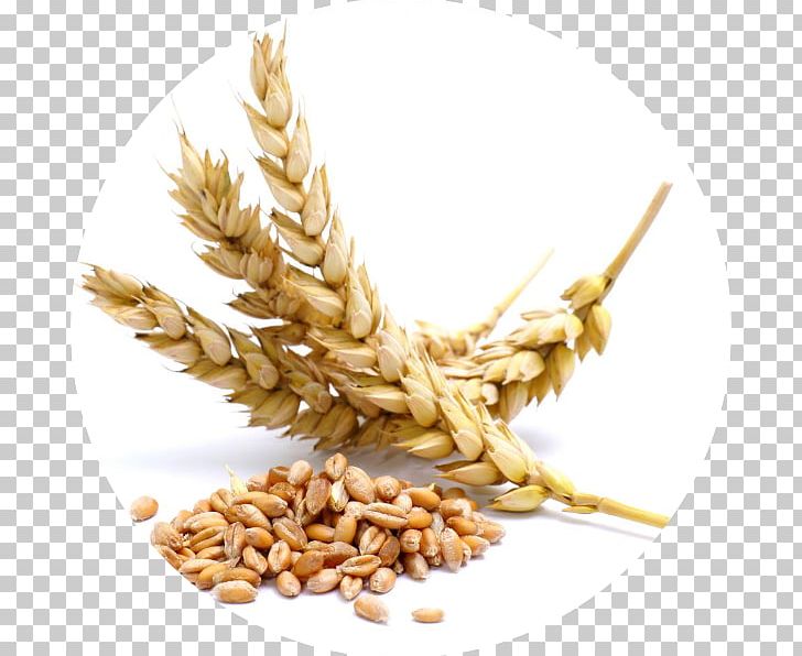 Atta Flour Wheat Berry Cereal Grain PNG, Clipart, Agriculture, Avena, Barley, Bran, Cereal Free PNG Download
