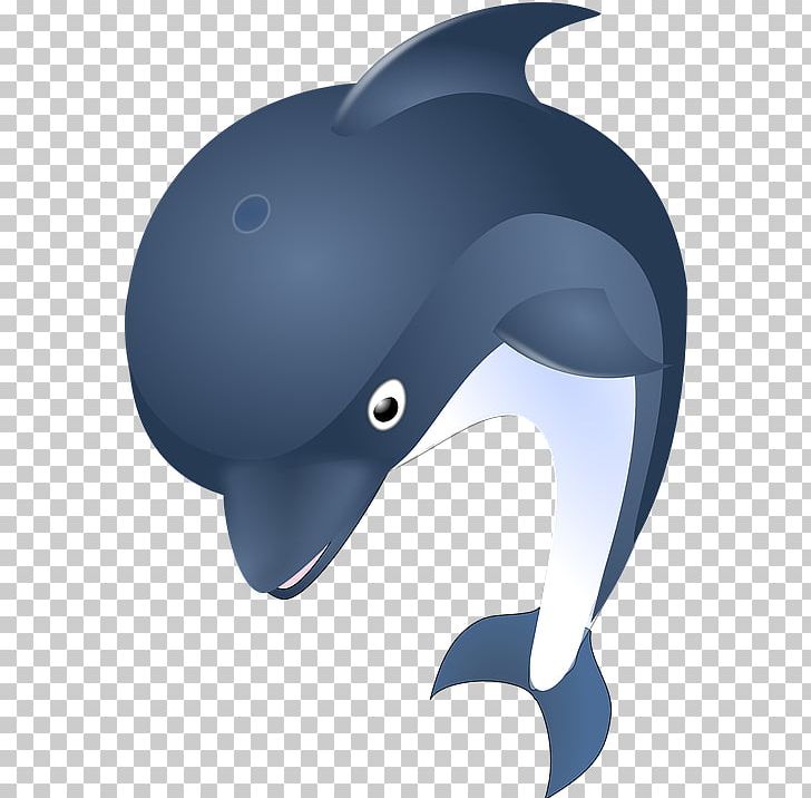 Dolphin Euclidean PNG, Clipart, Animal, Animals, Bicycle Helmet, Cartoon, Cartoon Animals Free PNG Download
