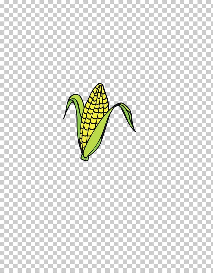 Maize Icon PNG, Clipart, Brand, Cartoon Corn, Computer, Computer Wallpaper, Corn Free PNG Download