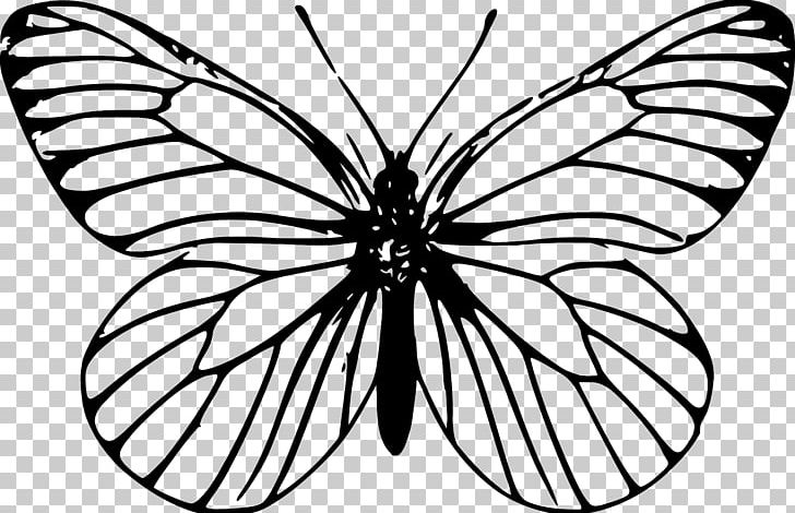 Butterfly Insect Outline Drawing PNG, Clipart, Animal, Arthropod, Ausmalbilder, Brush Footed Butterfly, Color Free PNG Download