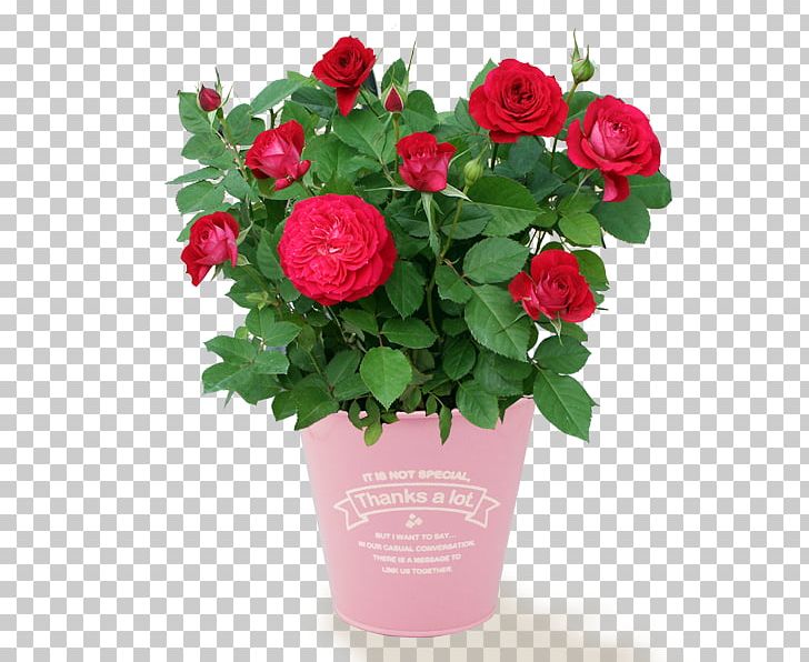Flower Bouquet Rose Flower Delivery PNG, Clipart,  Free PNG Download