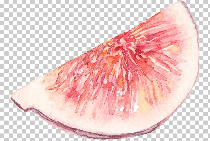 Watercolor Painting PNG, Clipart, Art, Color, Drawing, Flesh, Paint Free PNG Download