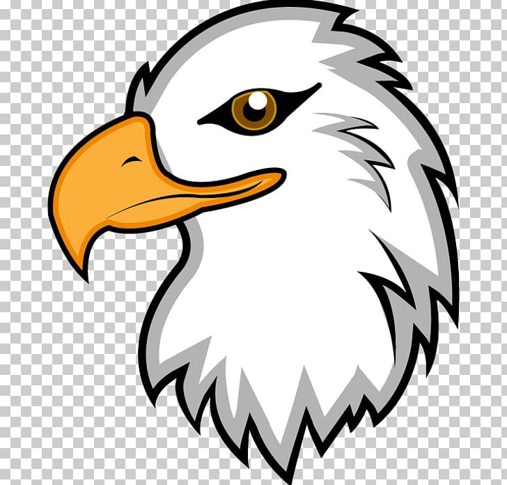 Bald Eagle Bird PNG, Clipart, Accipitriformes, African Fish Eagle, Animals, Artwork, Bald Eagle Free PNG Download