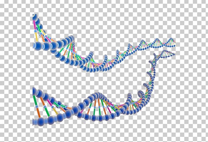 ENCODE DNA Molecular Biology Nucleic Acid Double Helix Research PNG, Clipart, Area, Blue, Chain, Chain Gene, Chain Gold Free PNG Download