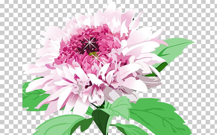 Floral Design Chrysanthemum Cut Flowers Education PNG, Clipart, Annual Plant, Chrysanthemum Chrysanthemum, Chrysanthemums, Dahlia, Flower Free PNG Download