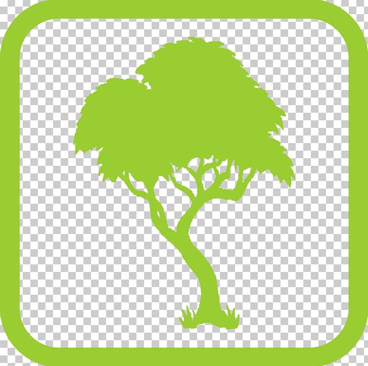 Silhouette Bald Cypress Tree Photography PNG, Clipart, Area, Artwork, Bald Cypress, Branch, Flora Free PNG Download