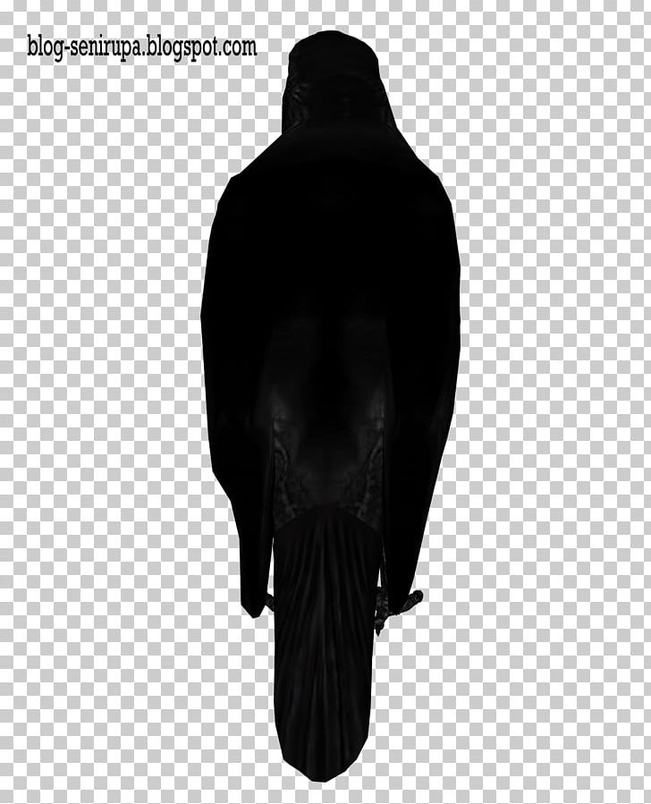 Stock Photography Visual Arts Black And White PNG, Clipart, Animal, Art, Black, Black And White, Black Crow Free PNG Download