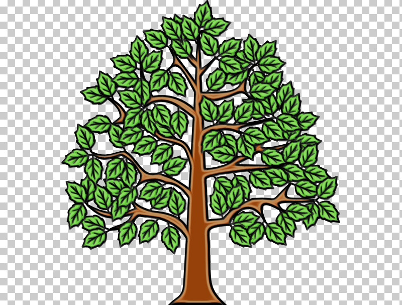 European Beech Tree Branch Wood An English Oak Tree PNG, Clipart, American Beech, Ash, Beech, Branch, European Beech Free PNG Download