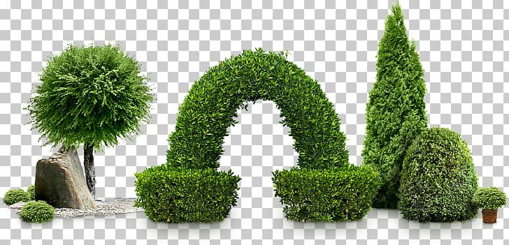 Bushes PNG, Clipart, Bushes Free PNG Download