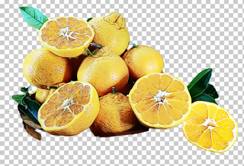 Lemon Juice PNG, Clipart, Bitter Orange, Citric Acid, Citron, Citrus, Fruit Free PNG Download