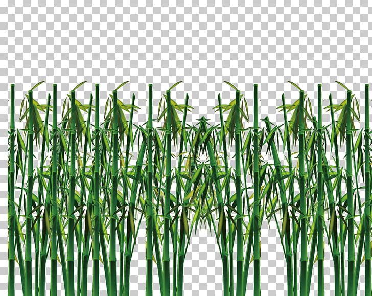 Bamboo Green Raster Graphics PNG, Clipart, Background Green, Bamboo, Bamboo Vector, Centimeter, Chinese Free PNG Download
