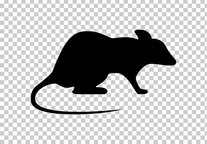 Brown Rat Laboratory Rat Mouse Rodent PNG, Clipart, Animals, Black, Black And White, Brown Rat, Carnivoran Free PNG Download