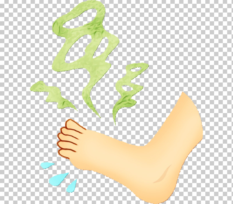 Leg Foot Sole Toe Human Body PNG, Clipart, Barefoot, Finger, Foot, Hand, Human Body Free PNG Download