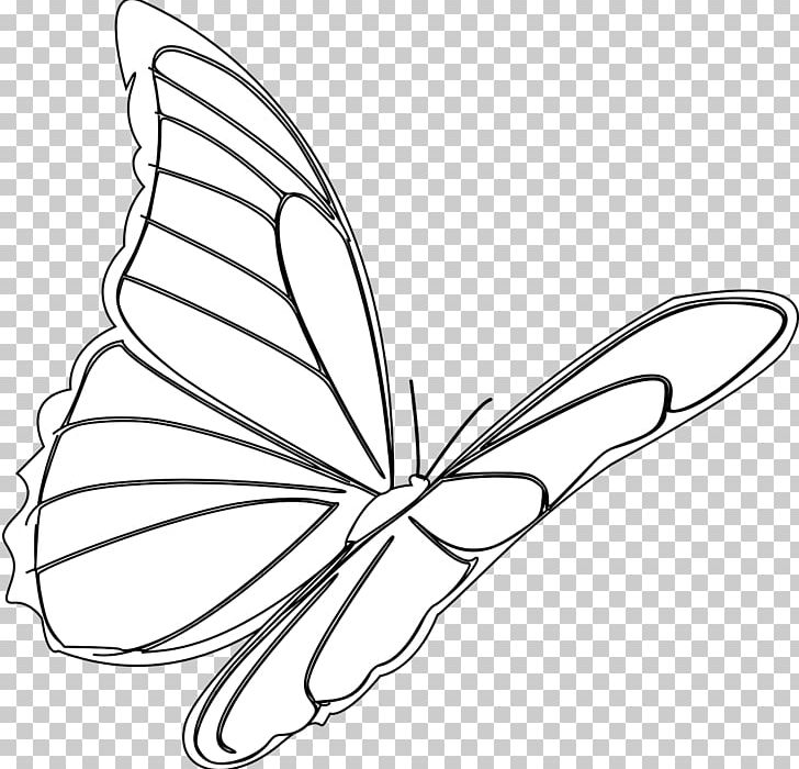 Monarch Butterfly Drawing Insect PNG, Clipart, Angle, Area, Artwork, Black And White, Brush Footed Butterfly Free PNG Download