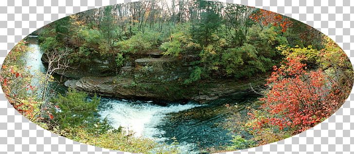 Kankakee River State Park Rock Creek Rock Cut State Park PNG, Clipart, Camping, Illinois, Park, Pond, Recreation Free PNG Download