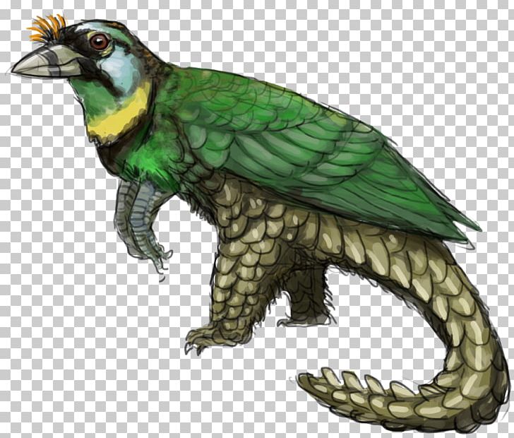 Parrot Macaw Beak Feather Wing PNG, Clipart, Animals, Beak, Bird, Cuckoos, Cuculiformes Free PNG Download