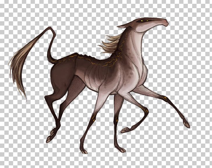 Drawing Mustang Pony PNG, Clipart, Art, Artist, Carnivoran, Deviantart, Digital Art Free PNG Download