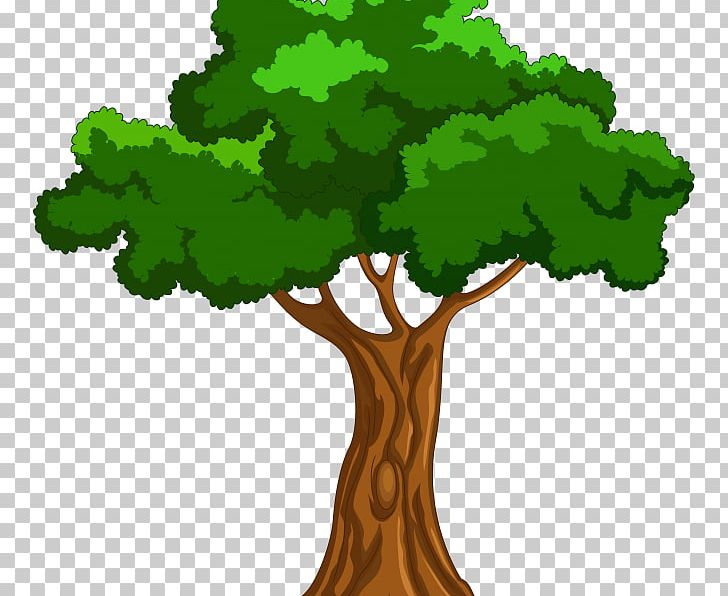 Tree PNG, Clipart, Animation, Art, Cartoon, Desktop Wallpaper, Document Free PNG Download