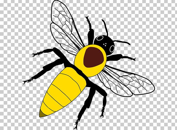 Western Honey Bee Food PNG, Clipart, Arthropod, Artwork, Bee, Black And White, Flower Bee Free PNG Download