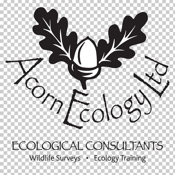 Exeter Acorn Ecology Ltd Environmental Consulting Consultant PNG, Clipart, Area, Black And White, Blog, Brand, Consultant Free PNG Download