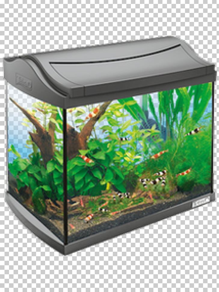 Tetra Nano Aquarium Innenfilter Fishkeeping PNG, Clipart, Air Pump, Animal, Animals, Aquarium, Aquarium Decor Free PNG Download